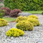 The Secret To Low-Maintenance Landscapes: Time-Saving Tips For Busy Homeowners