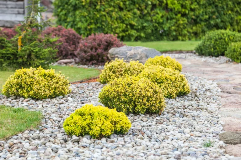 The Secret To Low-Maintenance Landscapes: Time-Saving Tips For Busy Homeowners